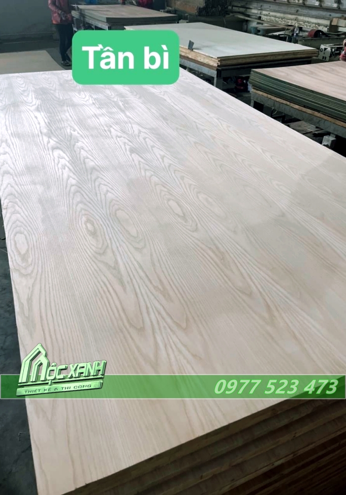 Tủ quần áo gỗ có kệ tiện lợi
