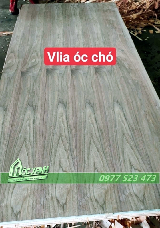Kiến Trúc Xây Dựng Mộc Xanh