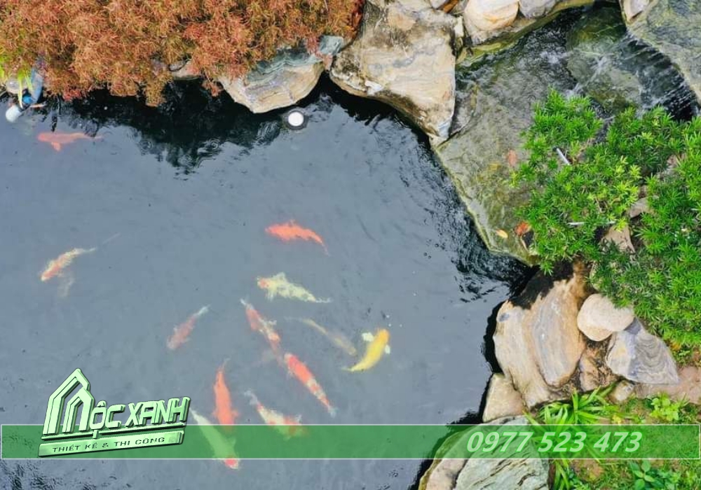 Kiến Trúc Xây Dựng Mộc Xanh