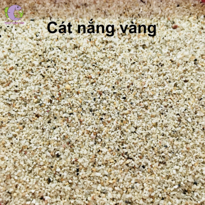 Top 10 báo giá cát nắng vàng hạt to rẻ và tốt nhất