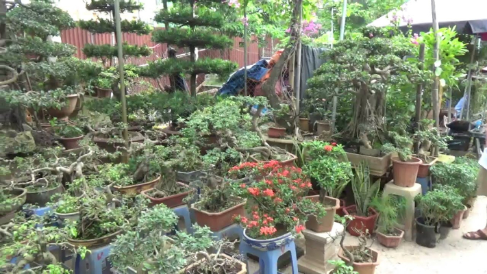 Top 50 mẫu nhà vườn bán cây cảnh đẹp nhất