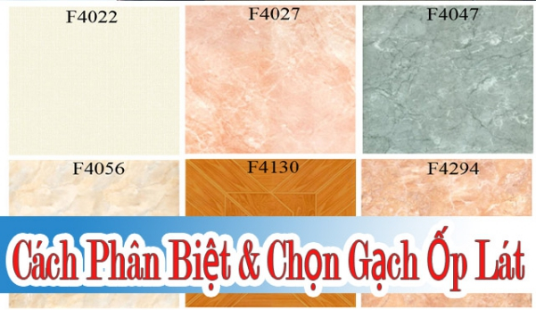 {Bảng giá|Báo tổng giá|Báo Giá} gạch ốp tường đầy đủ nhất 2023 cùng với update cấu tạo
